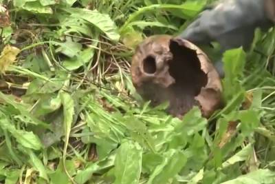 В Смоленске во время чистки ливневок нашли фрагмент черепа