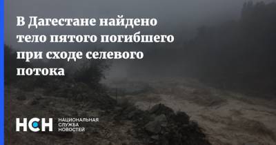 В Дагестане найдено тело пятого погибшего при сходе селевого потока