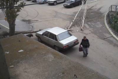 В Астрахани из -за сильного ветра повалило деревья