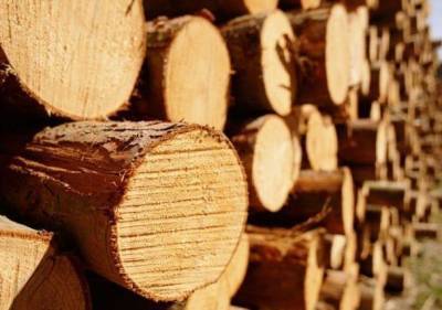 Азербайджан незначительно увеличил импорт турецкой мебели и древесины