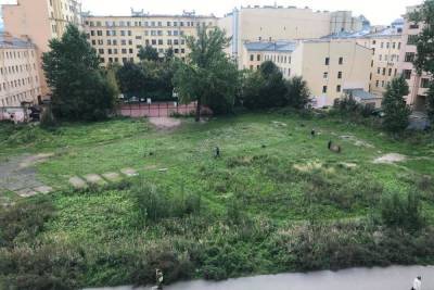 На Петроградской выкосили сад, который петербуржцы облагородили своими руками