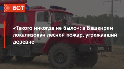 «Такого никогда не было»: в Башкирии локализован лесной пожар, угрожавший деревне