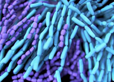 Российские ученые обнаружили пробиотики, способные подавлять коронавирус