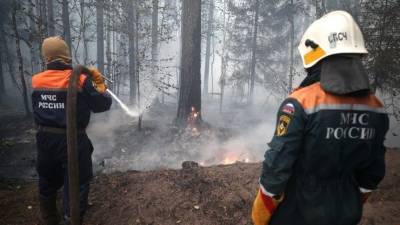 Путин вручил награды за отвагу в борьбе с лесными пожарами и паводками