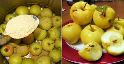 Пора квасить: надежный рецепт для заготовки яблок на зиму