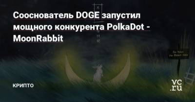 Сооснователь DOGE запустил мощного конкурента PolkaDot – MoonRabbit - cryptos.tv