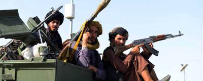 Талибы заявили, что захватили офис губернатора афганской провинции Панджшер