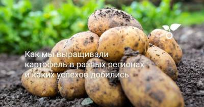Как мы выращивали картофель в разных регионах и каких успехов добились