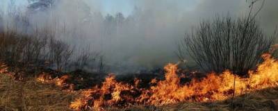 В России горит более 205 тысяч гектаров леса