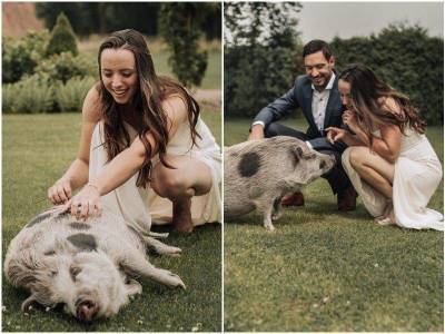 Пара устроила свадебную фотосессию с необычным питомцем – свинкой