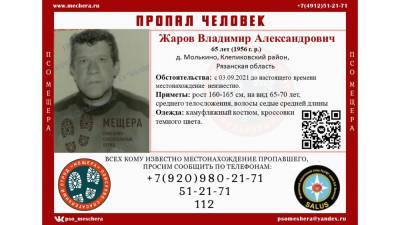 В Клепиковском районе пропал 65-летний мужчина