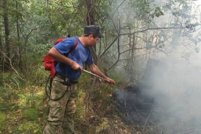 Крупный пожар в районе озера Глухое и СНТ «Мирный» ликвидирован