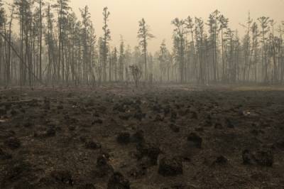 Площадь лесных пожаров в Якутии составила 100 тысяч гектаров