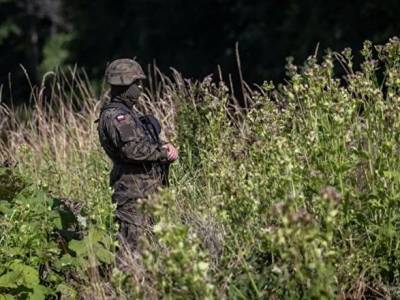 Маргаритис Схинас - Миграционный кризис на границе с Беларусью: какой будет реакция ЕС - unn.com.ua - Украина - Киев - Белоруссия - Литва