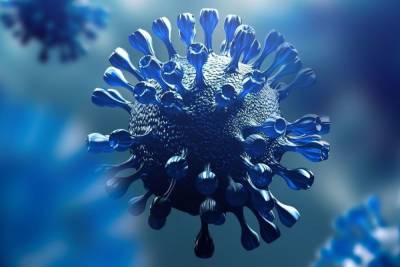 Еще 191 человек в Ленобласти заболели коронавирусом
