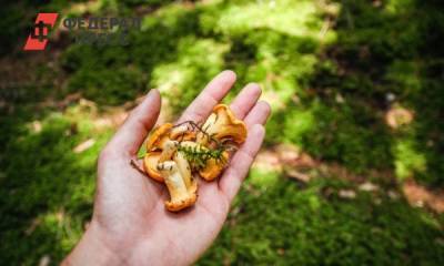 Перечислены грибы, помогающие похудеть