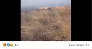 Омбудсмен Армении заявил об уничтожении пожарами около 40 гектаров пастбищ