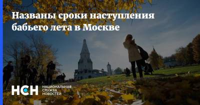 Названы сроки наступления бабьего лета в Москве