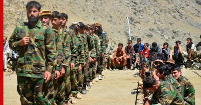 Представитель сопротивления в Афганистане заявил, что бойцы выбили талибов из Панджшера