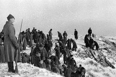 Сколько пленных солдат вермахта сбежало из ГУЛАГа в СССР