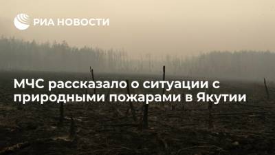 МЧС: в Якутии за сутки потушили природный пожар на площади 113 гектаров