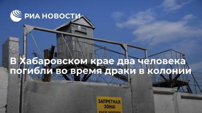 В Хабаровском крае в драке между заключенными ИК-14 погибли два человека