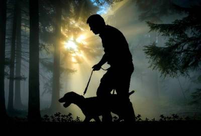 Во Всеволожском районе служебная собака помогла найти участников поножовщины