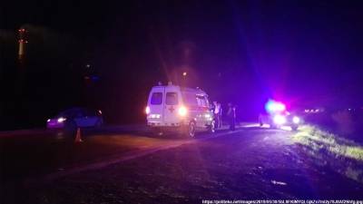 В Корткеросском районе под колесами автомобиля погиб пешеход