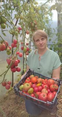 Жительница Ульяновской области ведет борьбу с помидорами и выращивает киви