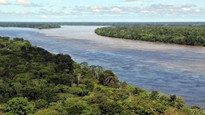 Леса Амазонии сократились за год почти на пять тысяч квадратных километров