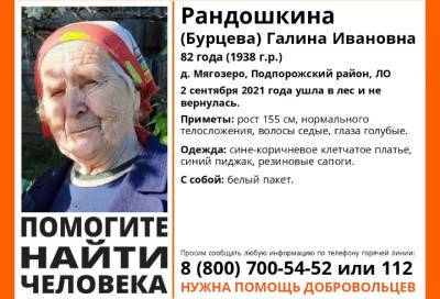 В Подпорожском районе ищут 82-летнюю пенсионерку с белым пакетом
