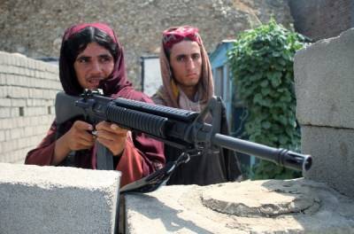 Талибы назвали причину задержки объявления нового состава афганского правительства