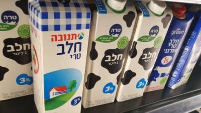 Подорожание молочных продуктов в Израиле остановлено