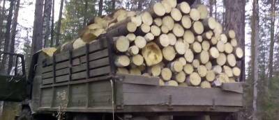 Бывший депутат Рады Геннадий Москаль заявил, что без договора с Россией Украина перейдет на дрова