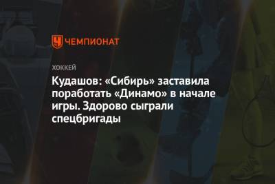 Кудашов: «Сибирь» заставила поработать «Динамо» в начале игры. Здорово сыграли спецбригады