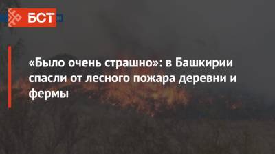 «Было очень страшно»: в Башкирии спасли от лесного пожара деревни и фермы