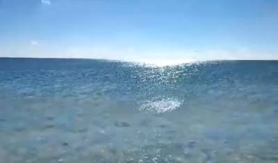 "Кисельные берега": В бархатный сезон "медузный апокалипсис" на Азовском море продолжается