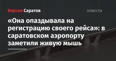 «Она опаздывала на регистрацию своего рейса»: в саратовском аэропорту заметили живую мышь