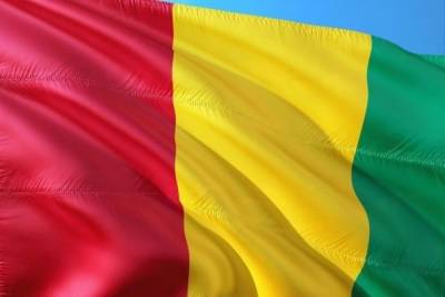 В Госдуме обеспокоены судьбой граждан РФ в Гвинее