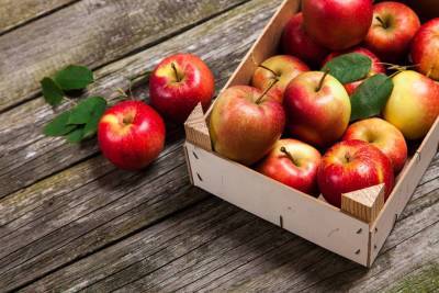 Как хранить свежие яблоки?