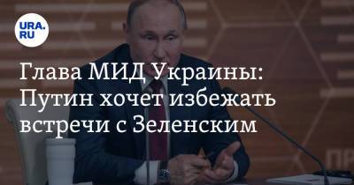 Глава МИД Украины: Путин хочет избежать встречи с Зеленским