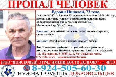 Пенсионер пропал при заготовке ореха в Красночикойском районе