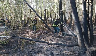В Баймакском районе Башкирии полностью ликвидирован крупный очаг природного пожара