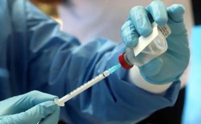 «Вероятность возникновения пандемии высокая»: в ВОЗ обеспокоены новым вирусом Нипах