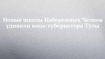 Новые школы Набережных Челнов удивили вице-губернатора Тулы