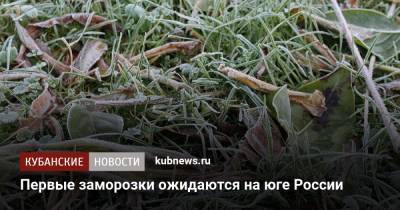 Первые заморозки ожидаются на юге России