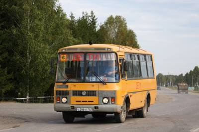 В школьном автобусном парке Петербурга появятся ещё 13 автобусов