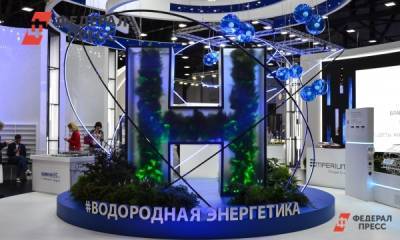 Экологи об идее Шойгу о водородной энергетике в Сибири: «Слишком дорого»