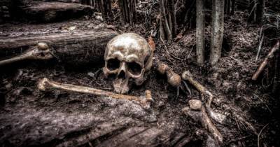 Скелет человека обнаружили в петербургском парке