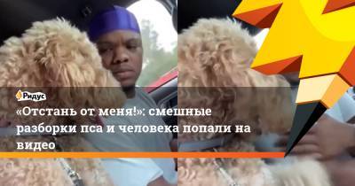 «Отстань от меня!»: смешные разборки пса и человека попали на видео